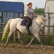 Oldenborg Apasia Egelund