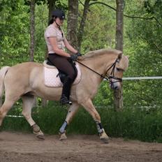 Anden særlig race Frederik