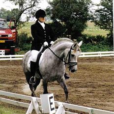 Anden særlig race Nickolej