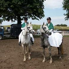 Connemara Barholts Evita