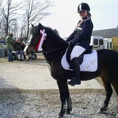 Anden særlig race Bubber, solgt