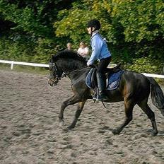 Anden særlig race Bubber, solgt