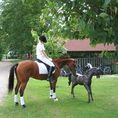 New Forest Miss Potter <3