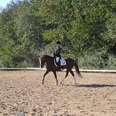 Anden særlig race Muskas *Død*