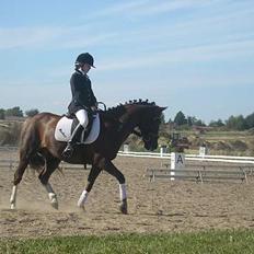 Anden særlig race Muskas *Død*