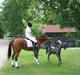 New Forest Miss Potter <3