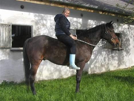 Traver nico queen billede 5