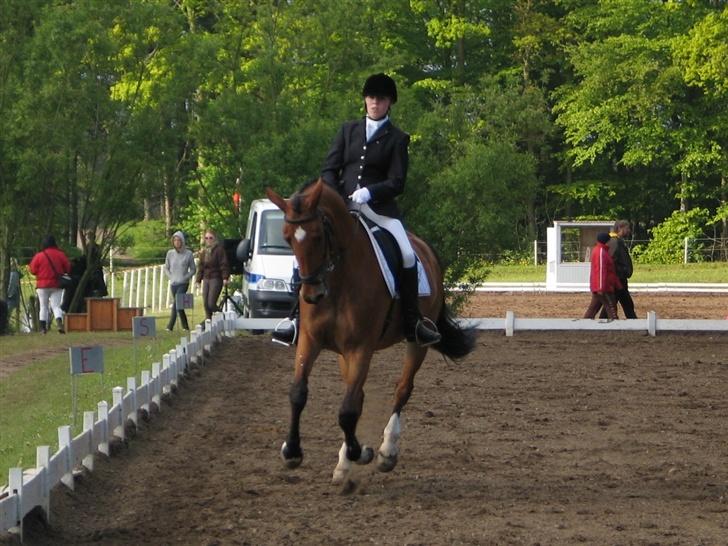 Dansk Varmblod <3 Simone Landlyst †07 - 9) Maj07: Stævne. Måske LA3, tror jeg billede 8
