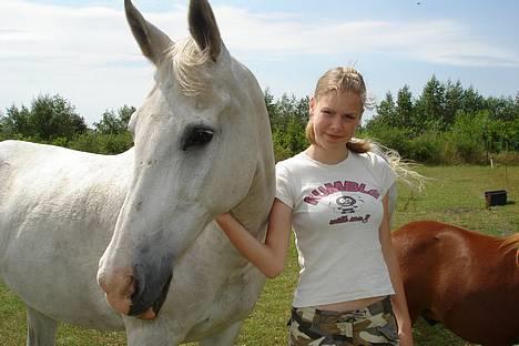 Shagya Araber (SH) Bøgely's Sebastian <3 - Min hest & jeg billede 11