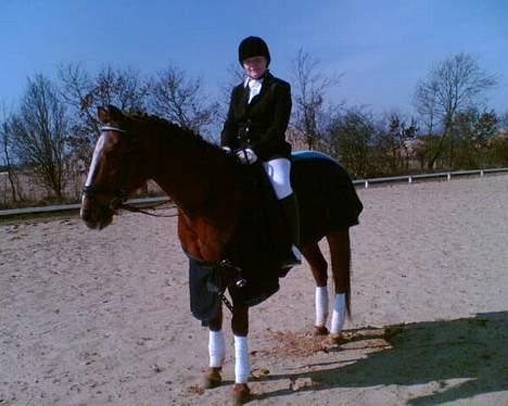 Traver Filur - Filur og mit første stævne i tjæreborg d. 18 marts billede 9