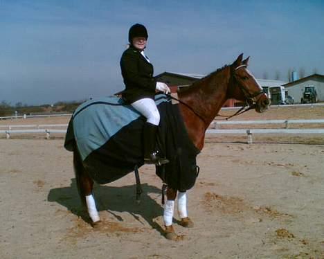 Traver Filur - Filur og mit første stævne i tjæreborg d. 18 marts billede 10