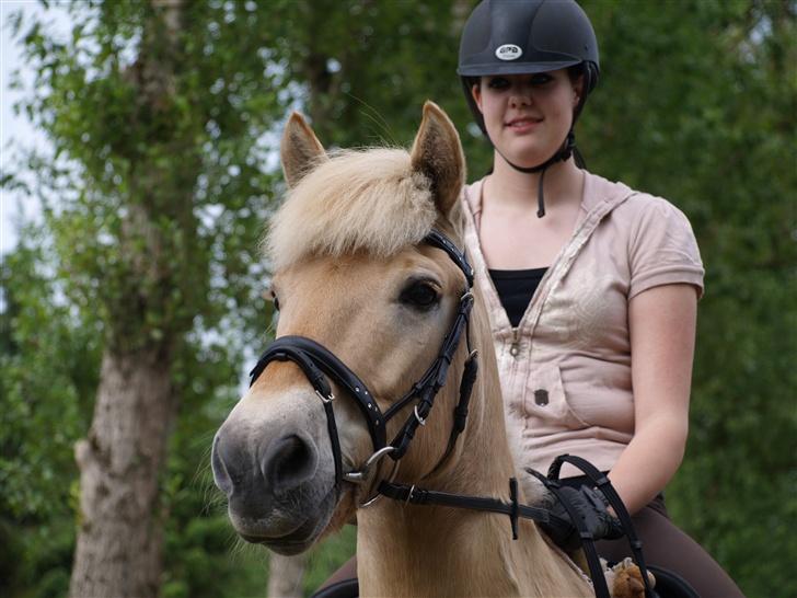 Anden særlig race Frederik - jegelskerdig <3 Foto: Kimie Dehn billede 3