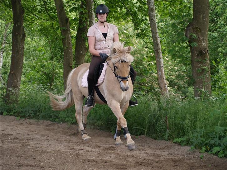 Anden særlig race Frederik - Du er såså lækker! Foto: Kimie Dehn billede 4