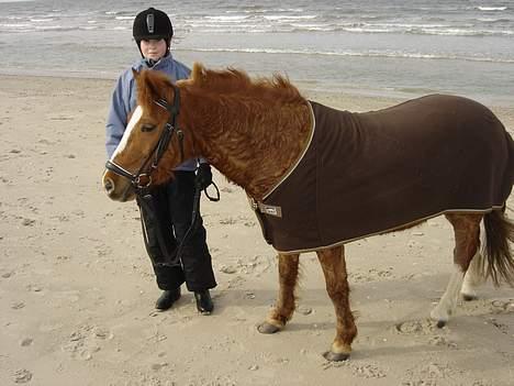 Anden særlig race Buster (Solgt) - kigger.. billede 7