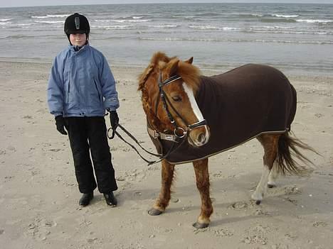 Anden særlig race Buster (Solgt) - smukke mig....:) billede 8
