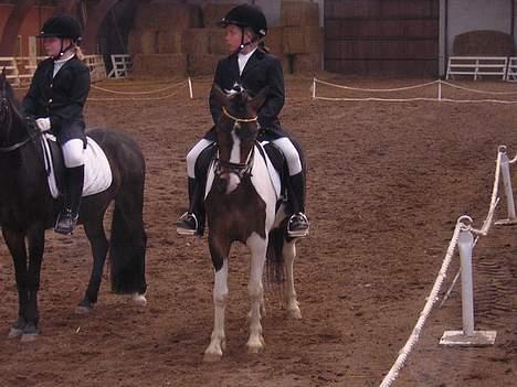 Pinto Dalvin(SOLGT) - ihhh alså kom næsten altid hjem med roset  billede 16