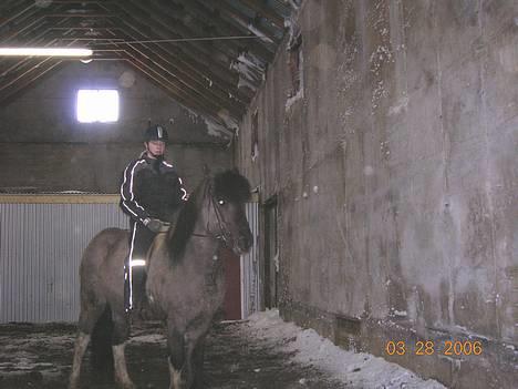 Islænder *Röst frá Efri-Lækjarda  - her med mig på  billede 12