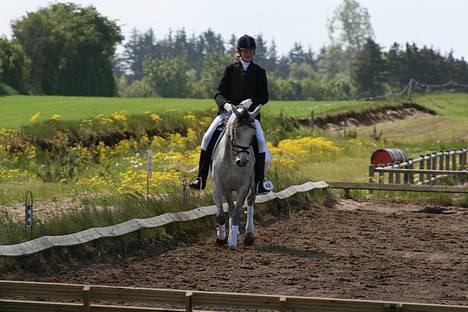 DSP Apollonia <3 - til vores stævne d. 19 maj 2007 billede 8