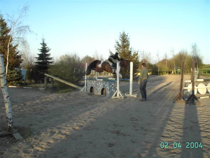 Pinto Roche <3, - springer undervisning hos bamse. billede 7