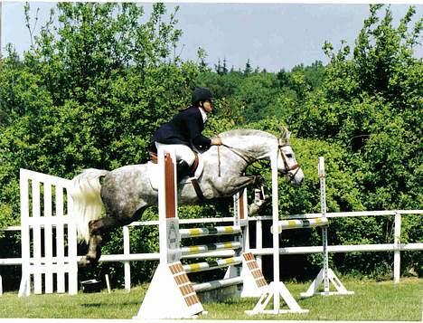 Anden særlig race Nickolej - mig og Nickolej i vores første Pony Svær billede 1