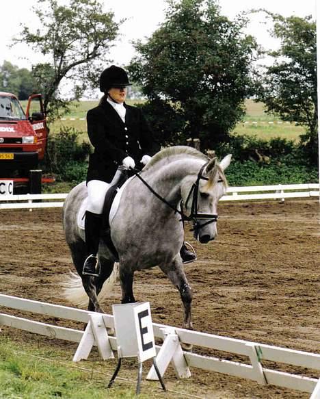 Anden særlig race Nickolej - Dressuren til et landsstævne i military (Ringsted) billede 3