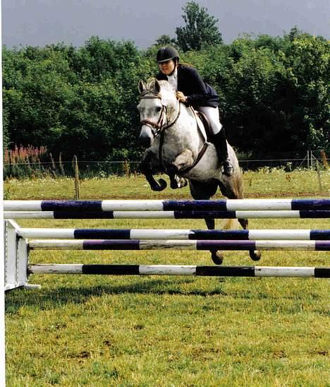 Anden særlig race Nickolej - fra en pony svær i Hammel billede 4