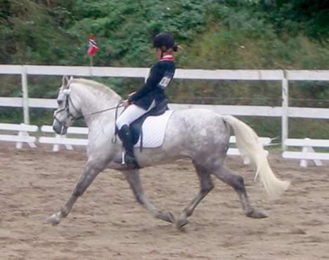 Anden særlig race Nickolej - Nickolej og hans nye ejer Oda billede 6