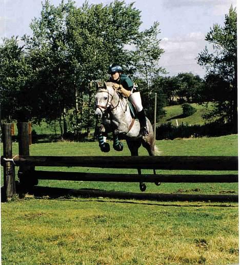 Anden særlig race Nickolej - Fra Ringsted billede 8