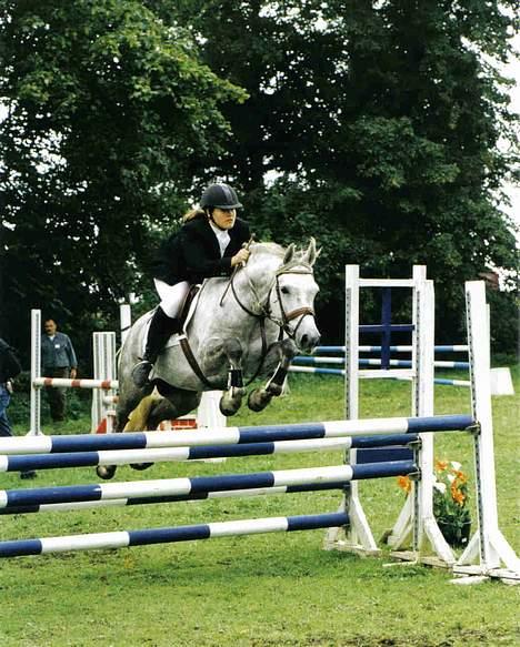 Anden særlig race Nickolej - Fra en Pony svær i Ringsted billede 9