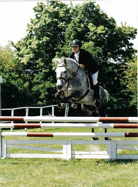 Anden særlig race Nickolej - Fra vores første Pony svær i Næstved billede 10