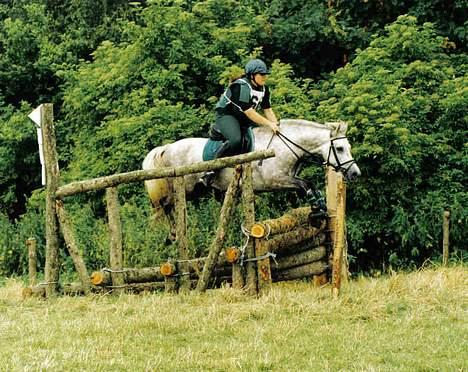 Anden særlig race Nickolej - Fra Hammel billede 11