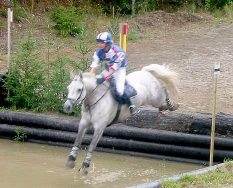 Anden særlig race Nickolej - Nickolej og hans nye ejer Oda billede 14