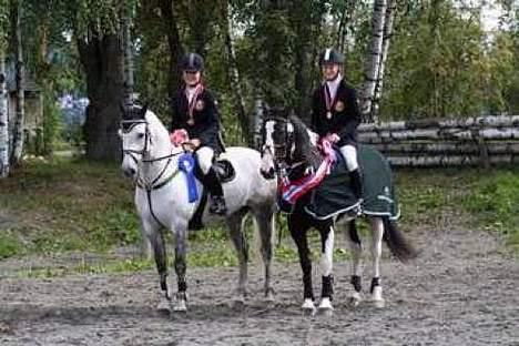 Anden særlig race Nickolej - Nickolej og Joker billede 16