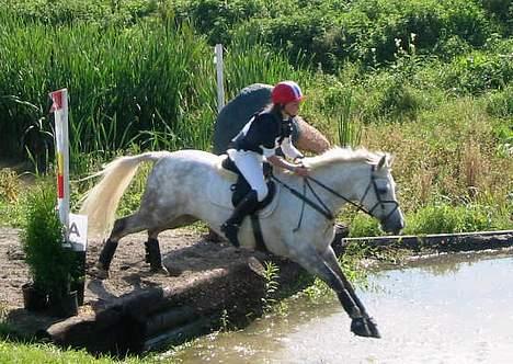 Anden særlig race Nickolej - Nickolej og hans nye ejer Oda billede 17