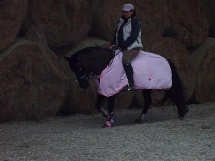 Anden særlig race Lola (Bedste Pony min) :D - God ridetur... ;) billede 20