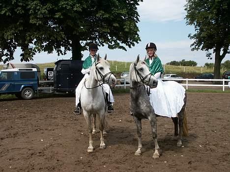 Connemara Barholts Evita billede 2