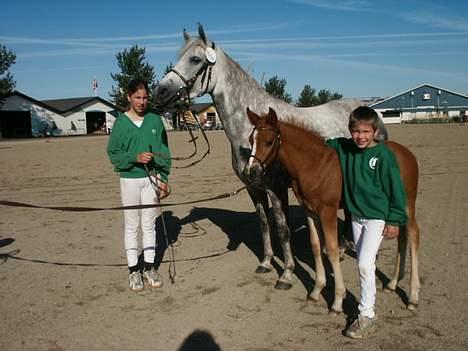 Connemara Barholts Evita billede 3