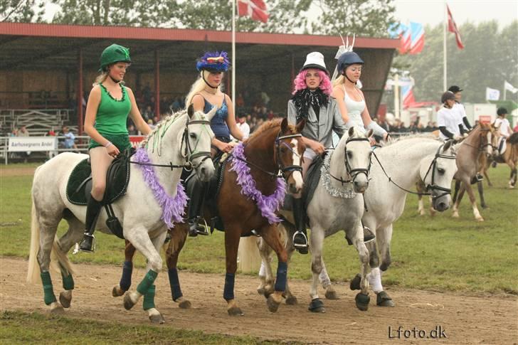 Connemara Barholts Evita billede 5