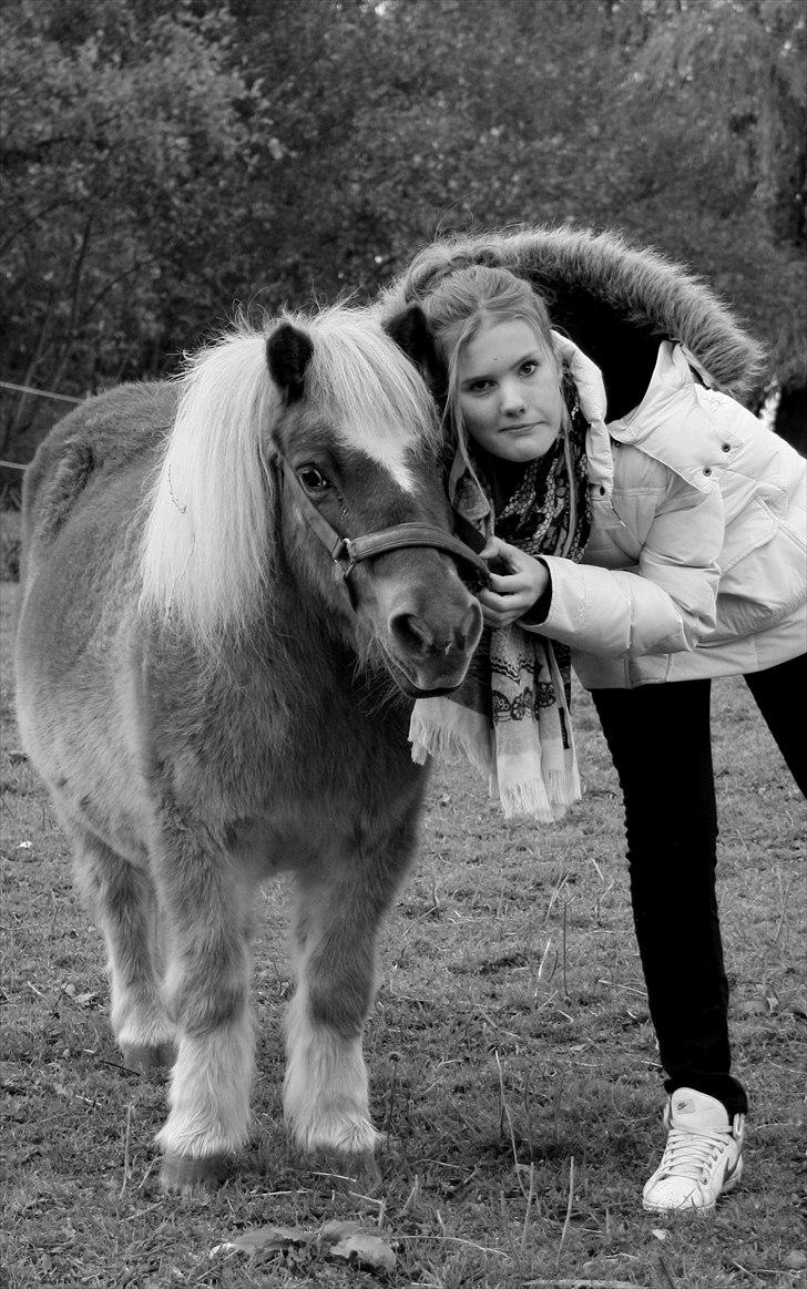 Shetlænder Sanne Bomlund  - Sanne og min søster billede 12