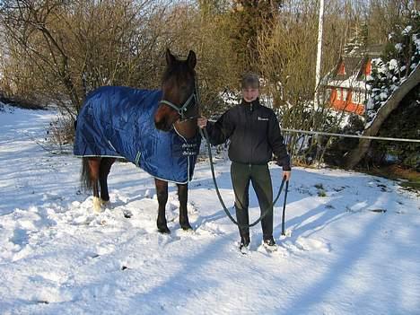 New Forest Elmholts Odessa SOLGT billede 11