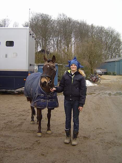 Anden særlig race Cooper - 'solgt' - Cooper og mig til landsstævnet i Fyens, hvor han blev A-pony billede 17
