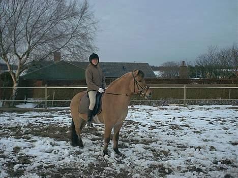 Anden særlig race Dusty (solgt) - Mig og Dusty er ude at ride.. billede 5