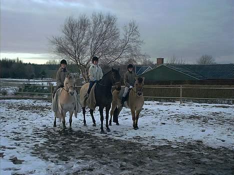 Anden særlig race Dusty (solgt) - ihh, hvor er vi fine;) hehe.. billede 7