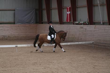 Anden særlig race Lukas Bathalomæus - Solgt - mig og lukas til stævne LC1 foto: AMGF billede 7