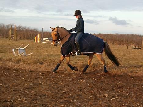 Anden særlig race #Basse#  - Basse<3 billede 19