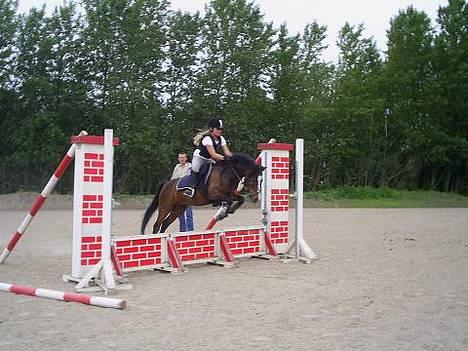 Anden særlig race Bubber, solgt - Bubber springer mur billede 8