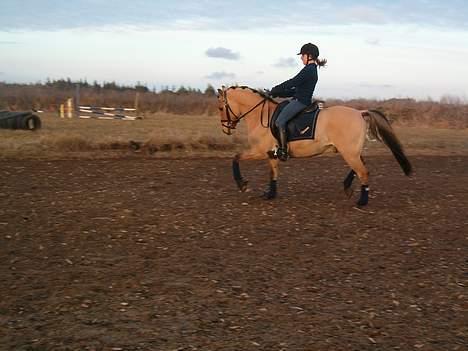 Anden særlig race #Basse#  - Basse<3 billede 20
