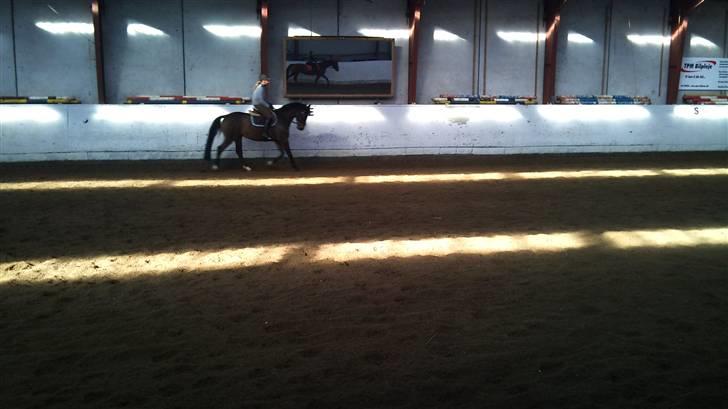 Hannoveraner R.I.P GRAFAS <3 miss u  - I skridt.. billede 8