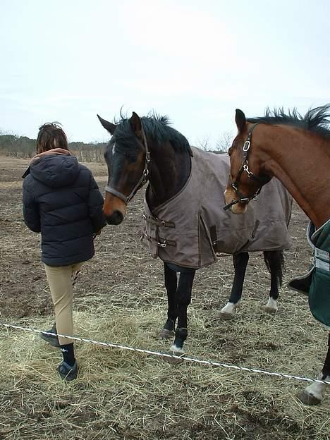 Hannoveraner R.I.P GRAFAS <3 miss u  - Mig og Martinello.. :) Min bedste ven.. billede 10