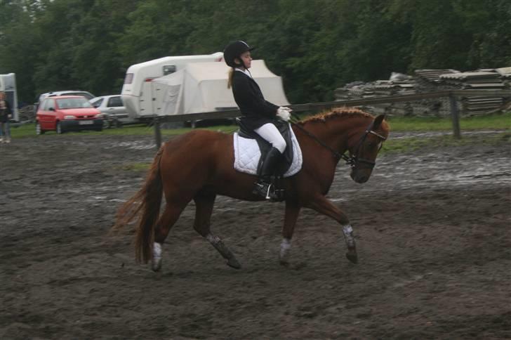 Anden særlig race | Rasmus *SOLGT* - *NYT* d. 10.08.08 (: Line og Rasmus <33 billede 4